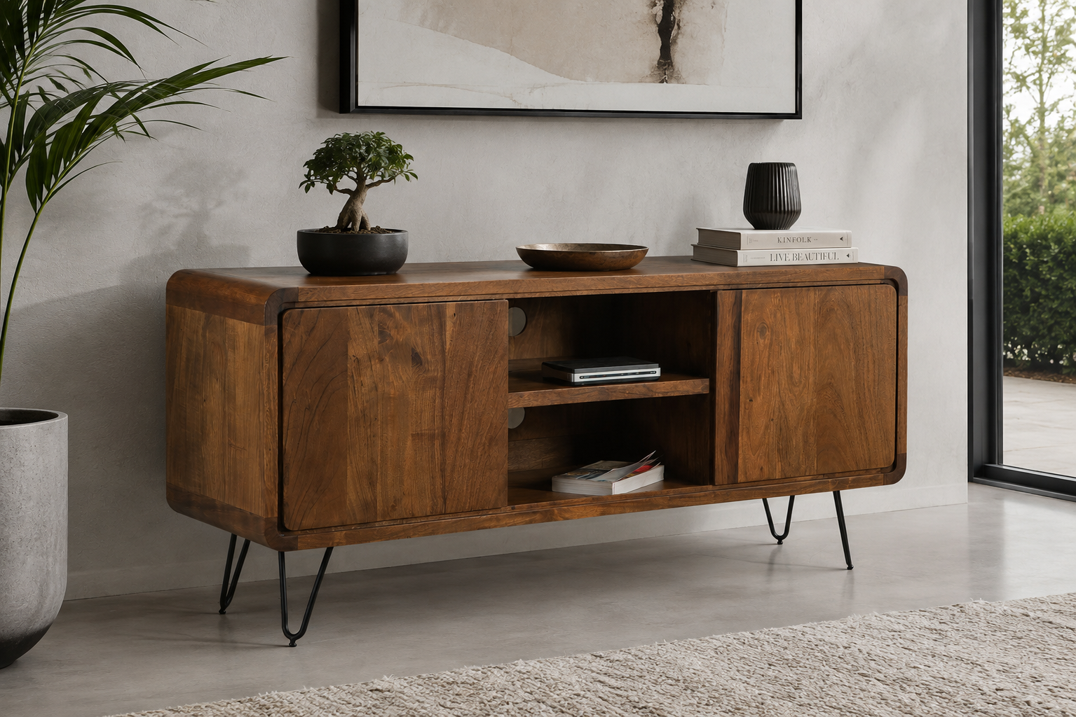 2 Door Plasma Cabinet